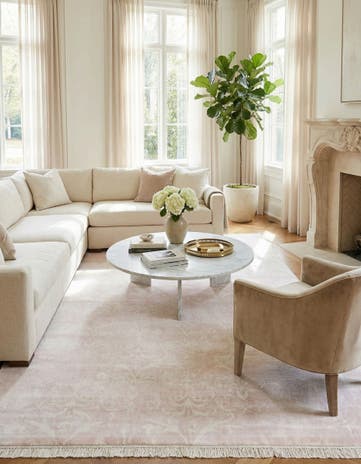5' 6 x 7' 10 Darya Rug