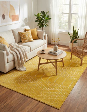 7' x 10' Paxon Trellis Rug