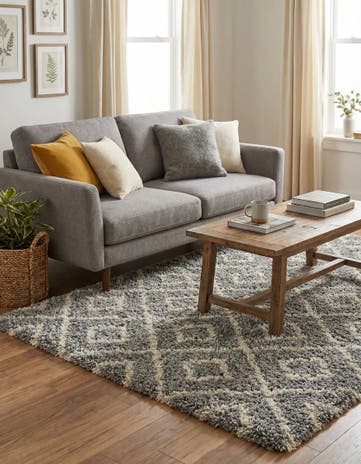 4' x 6' Lattice Shag Rug