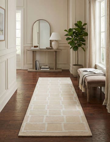 2' 10 x 9' 10 Hand Knotted Darya Wool Runner Rug