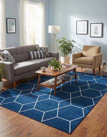 7' x 10' Trellis Frieze Rug