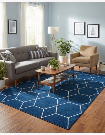 7' x 10' Trellis Frieze Rug