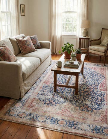 5' 1 x 7' 10 Boutique Rug