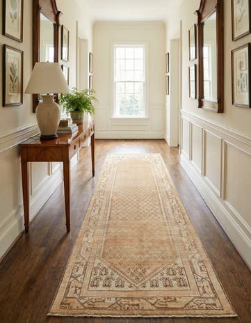 3' 3 x 10' 4 Hamedan Runner Rug