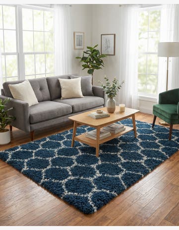 4' x 6' Trellis Shag Rug
