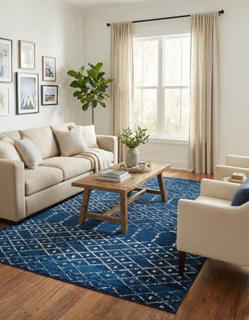 9' x 12' Paxon Trellis Rug