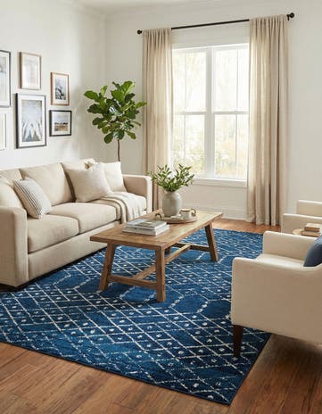 9' x 12' Paxon Trellis Rug