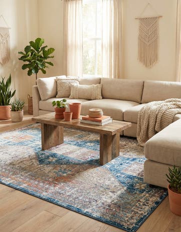 5' 3 x 7' 7 Mesa Rug