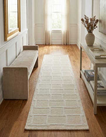2' 9 x 9' 11 Hand Knotted Darya Wool Runner Rug