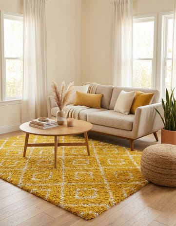 6' x 9' Lattice Shag Rug