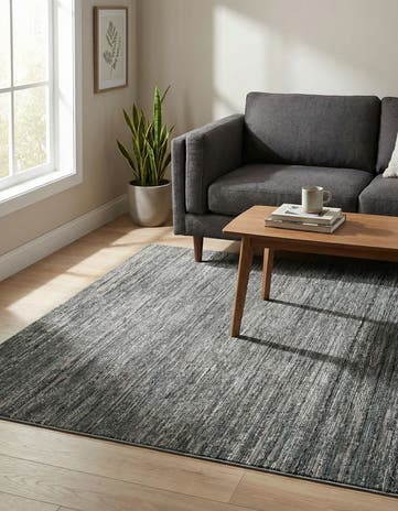 4' x 6' Silta Rug