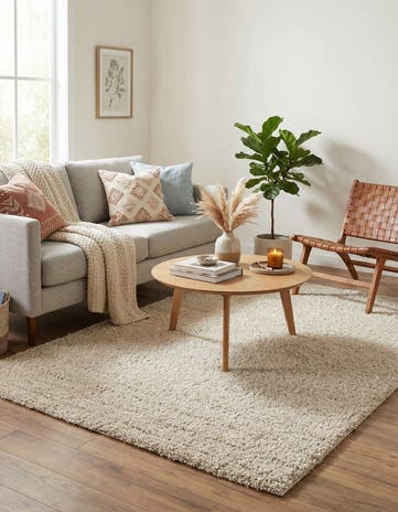 Oatmeal Beige Soft Solid Shag Rug