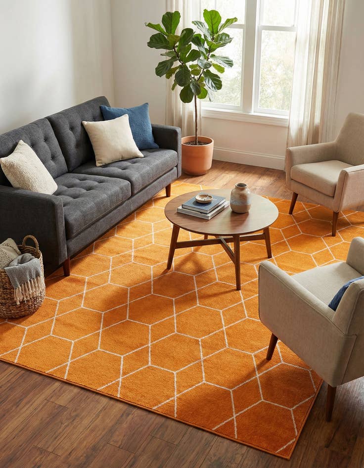 Detail image of  9' x 12' Lattice Frieze Rug