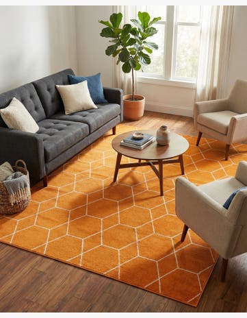 9' x 12' Trellis Frieze Rug