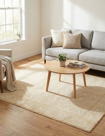 4' x 6' Aakaar Rug