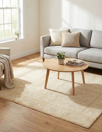 4' x 6' Aakaar Rug