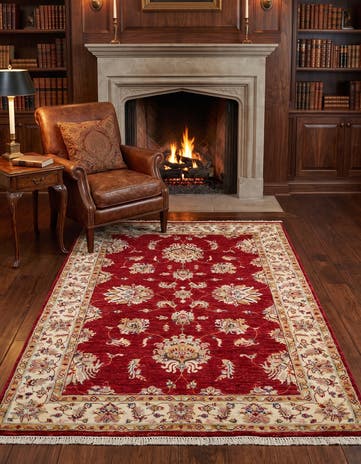 4' x 5' 10 Hand Knotted Ariana Ziegler Rug