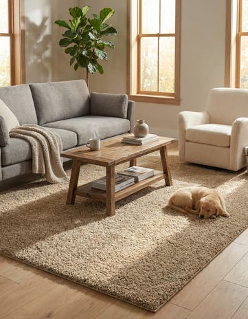 6' x 9' Soft Solid Shag Rug
