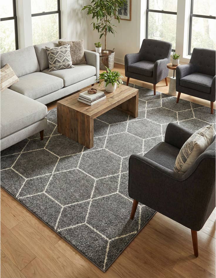 Detail image of  10' x 13' Lattice Frieze Rug