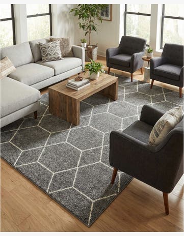 10' x 13' Trellis Frieze Rug