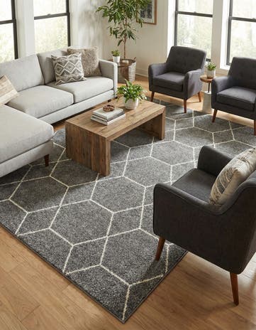10' x 13' Lattice Frieze Rug
