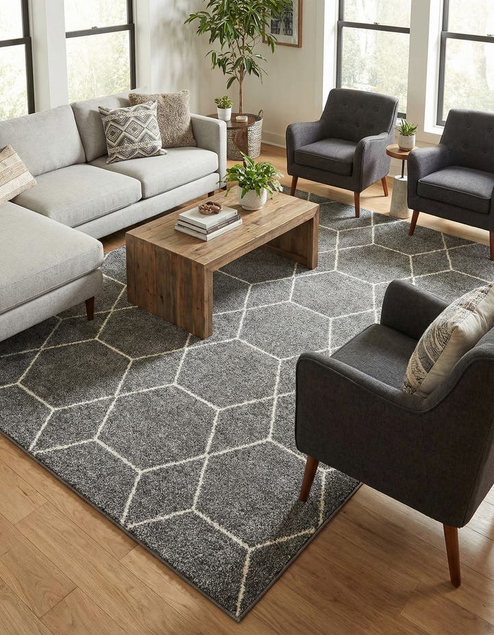 10' x 13' Lattice Frieze Rug