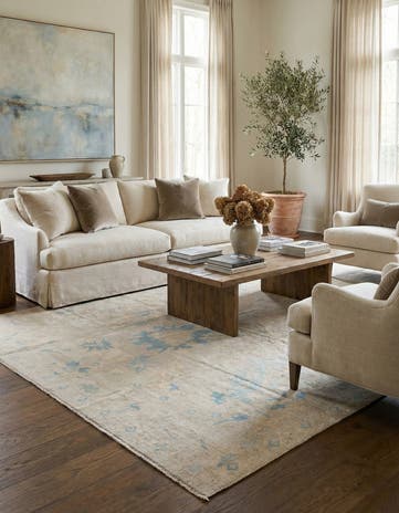 9' 8 x 13' 2 Hand Knotted Darya Wool Rug