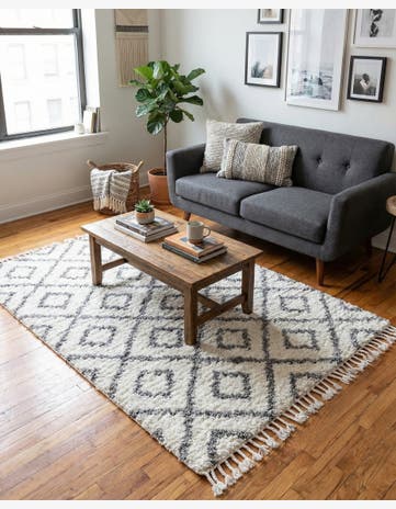 4' x 6' Lagom Shag Rug