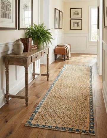 2' 5 x 9' 6 Hamedan Runner Rug
