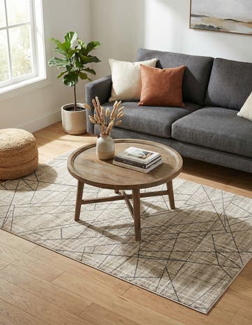 3' x 5' Silta Rug