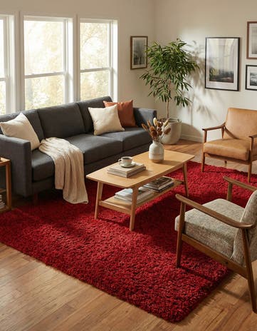 6' x 9' Infinity Shag Rug