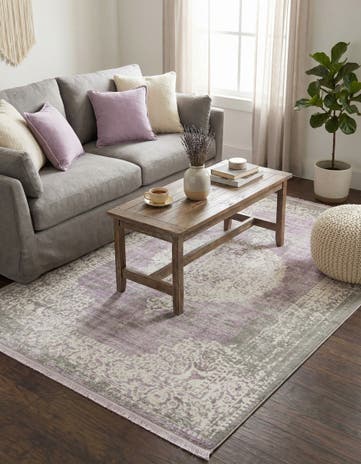 4' x 6' Modern Classical Rug