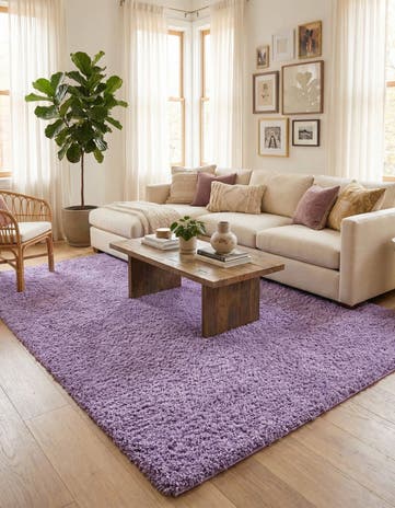 10' x 13' Solid Shag Rug