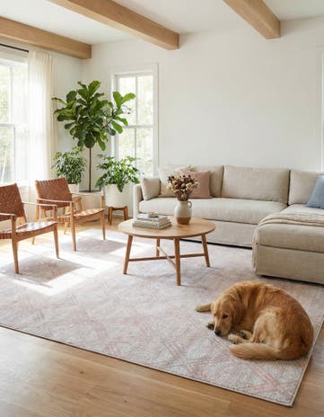 10' x 14' Kamala Washable Rug
