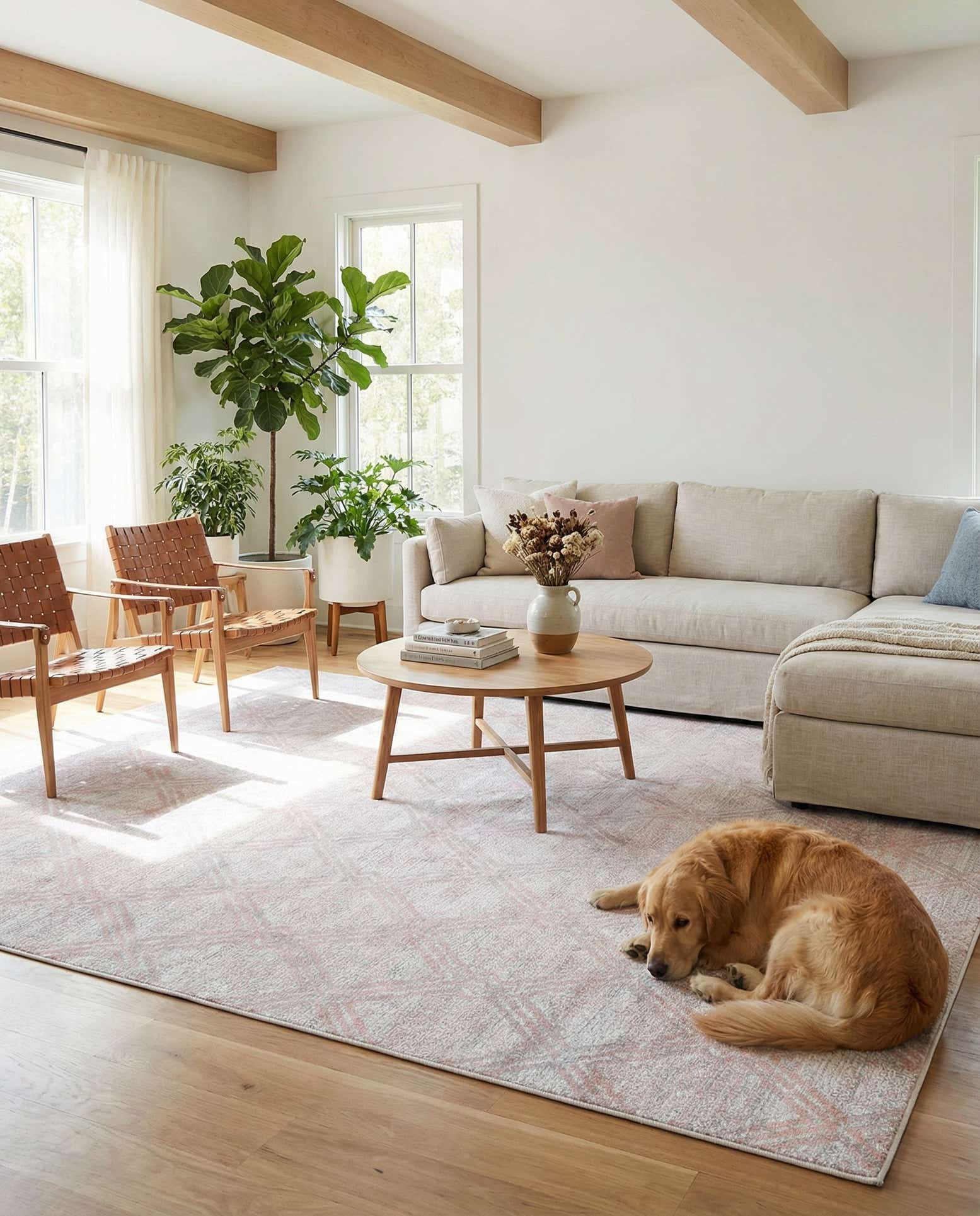 10' x 14' Kamala Washable Rug