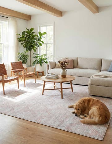 10' x 14' Kamala Washable Rug