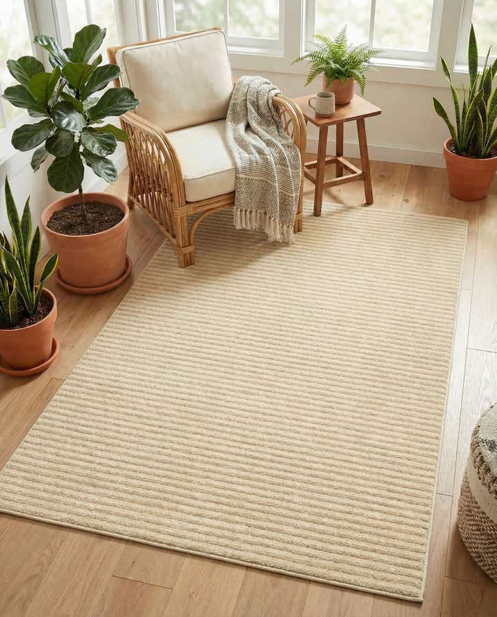 4' x 6' Contour Rug