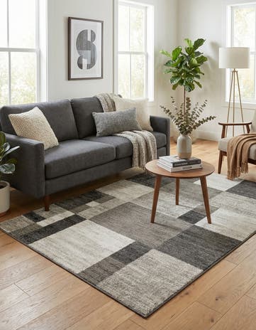 Gray Equinox Rug