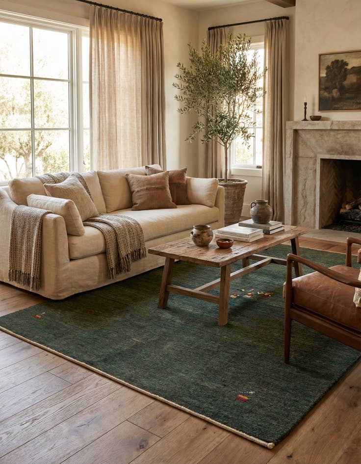 Detail image of  4' 9 x 6' 5 Gabbeh Shouli Rug