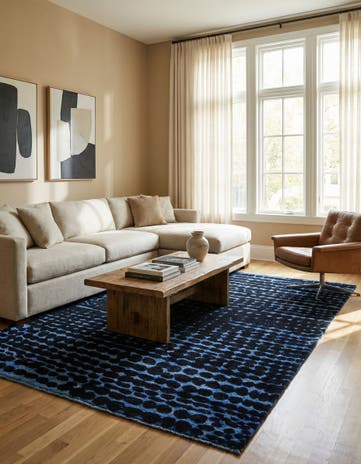 6' 4 x 10' 4 Hand Knotted Darya Wool Rug