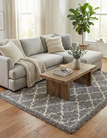 Ash Gray Infinity Shag Rug
