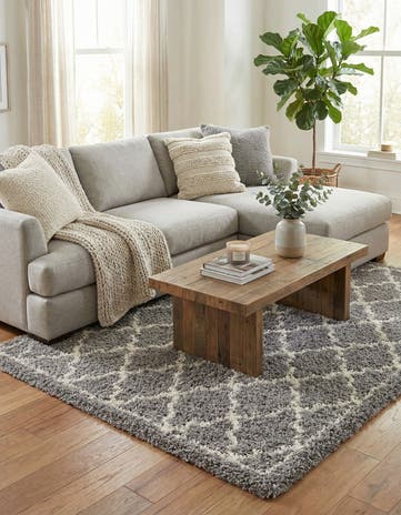 Ash Gray Infinity Shag Rug