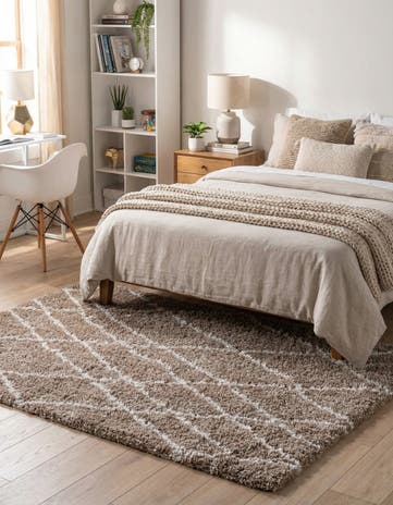 4' x 6' Soft Touch Shag Rug