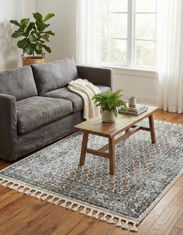 4' x 6' Aramis Rug