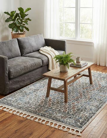 4' x 6' Aramis Rug