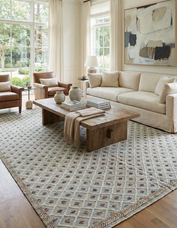 9' 5 x 14' Hand Knotted Darya Wool Rug