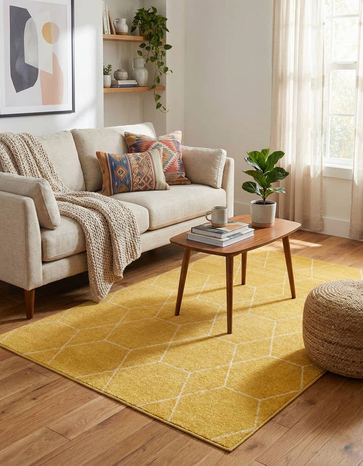 Detail image of  4' x 6' Lattice Frieze Rug