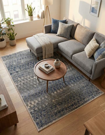 Gray Caspian Rug