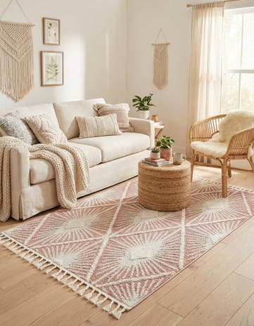 4' x 6' Boho Rug