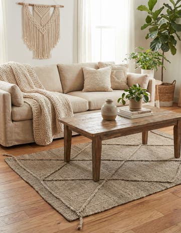 2' 11 x 4' 11 Hand Knotted Darya Wool Rug